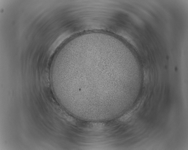 X0000069360878200605192055