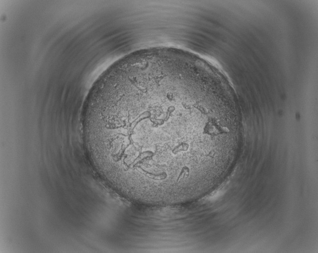 X0000069360879200605192055