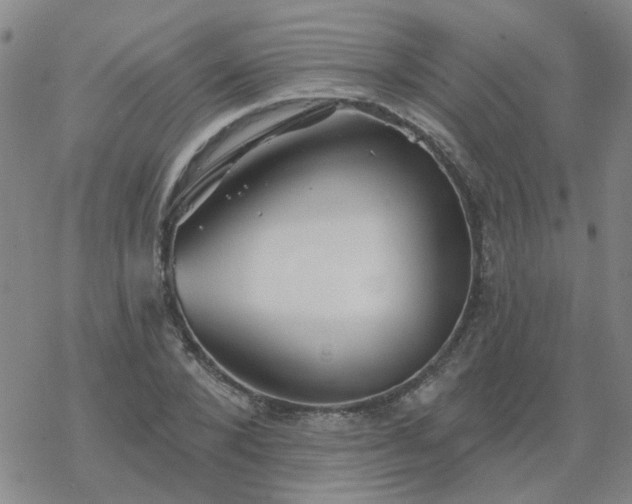 X0000069360880200605192055