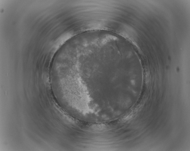 X0000069360882200605192055