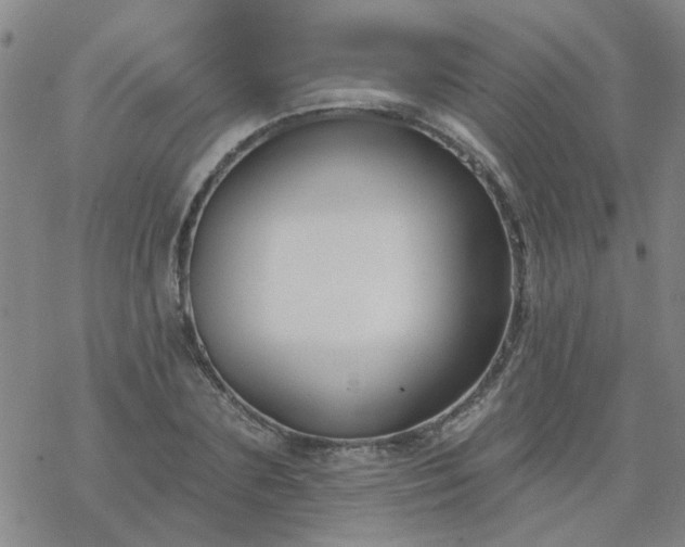 X0000069360883200605192055