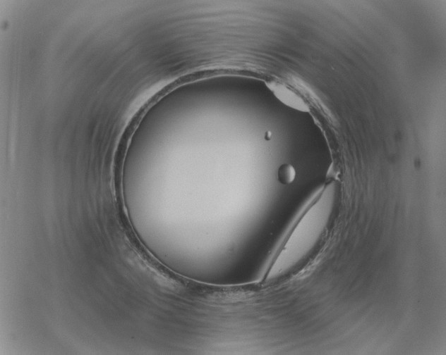 X0000069360884200605192055