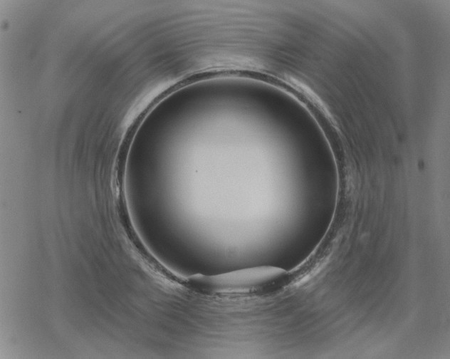 X0000069360885200605192055