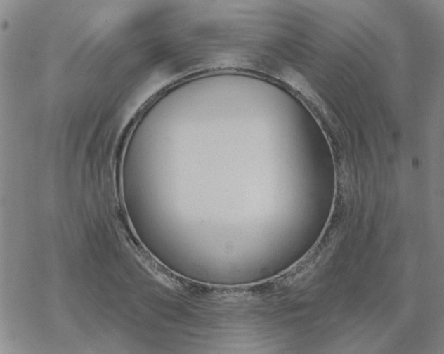 X0000069360886200605192055