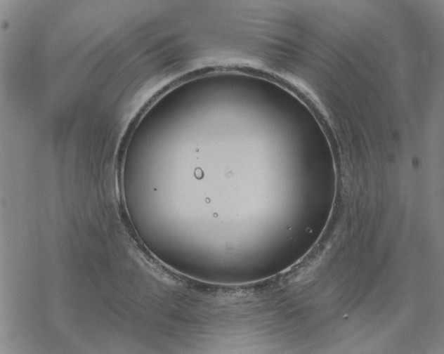 X0000069360887200605192055