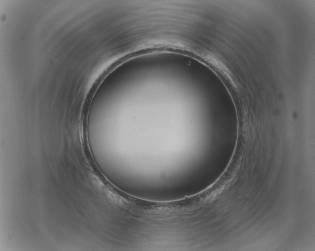 X0000069360888200605192055