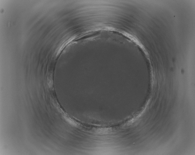 X0000069360889200605192055