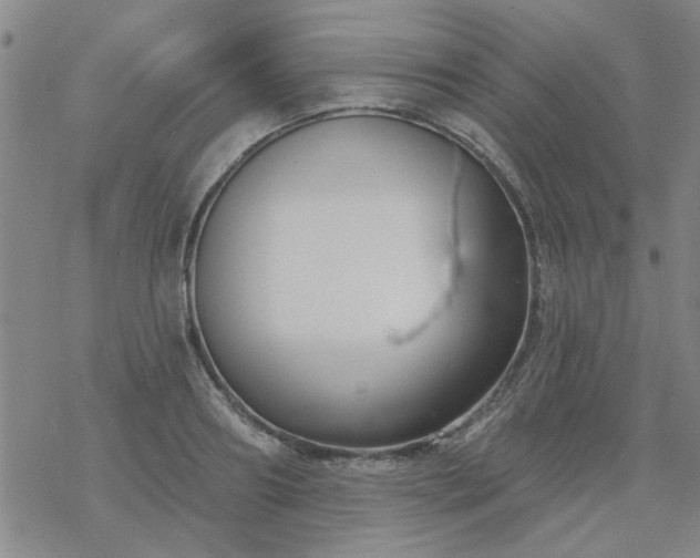 X0000069360890200605192055