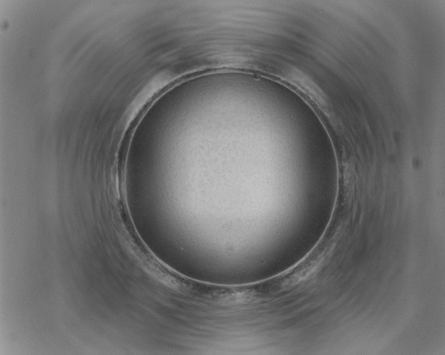 X0000069360891200605192055