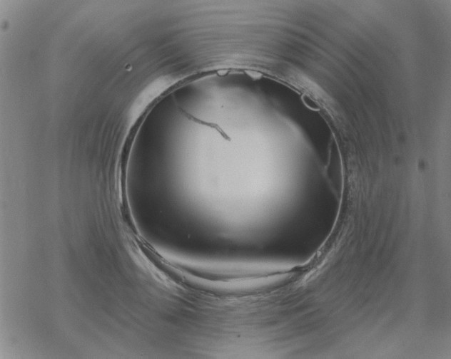 X0000069360892200605192055