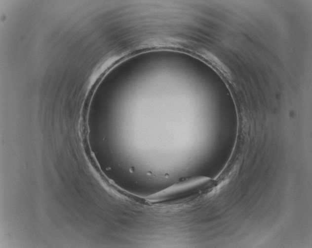 X0000069360893200605192055