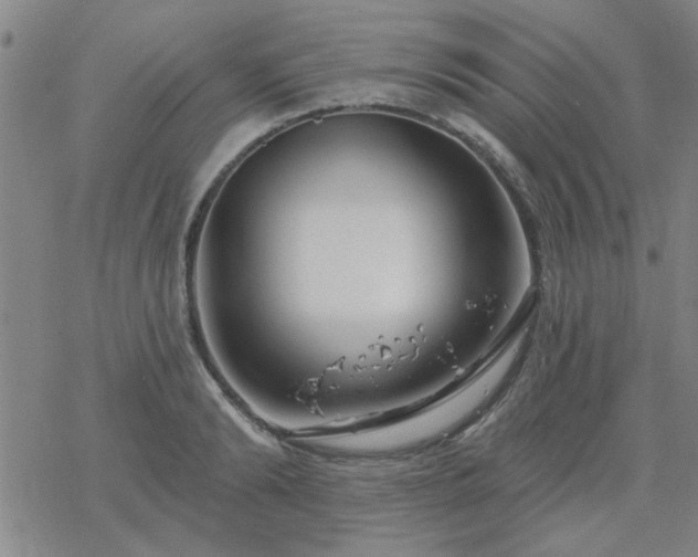 X0000069360894200605192055