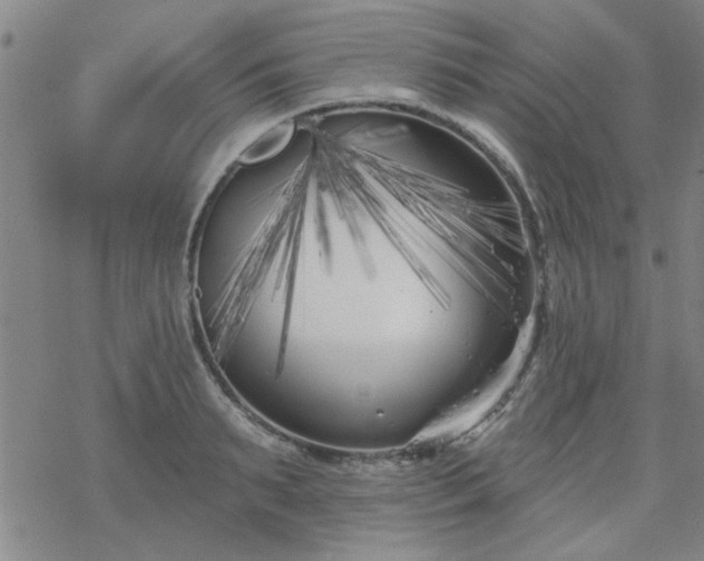 X0000069360895200605192055