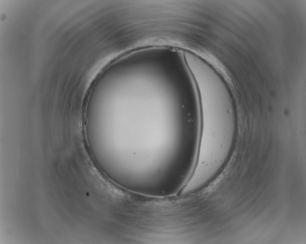 X0000069360896200605192055