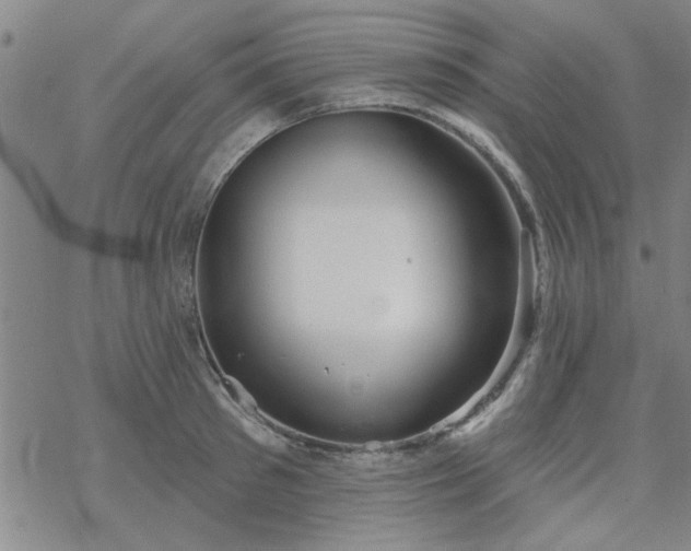 X0000069360897200605192055