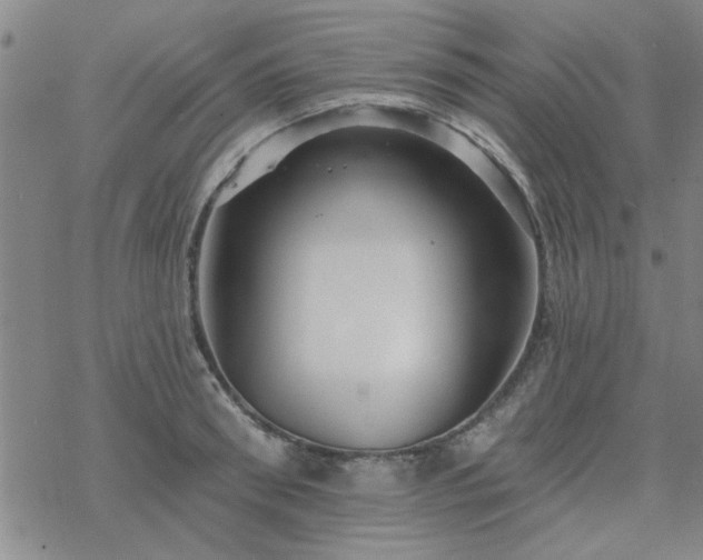 X0000069360898200605192055