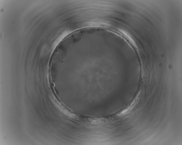 X0000069360899200605192055