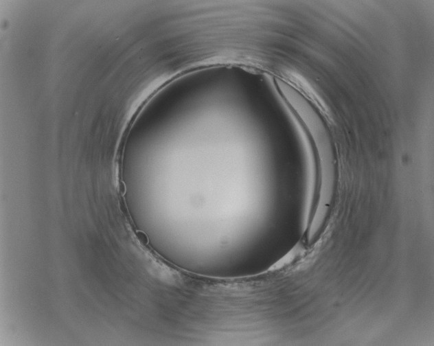 X0000069360900200605192055