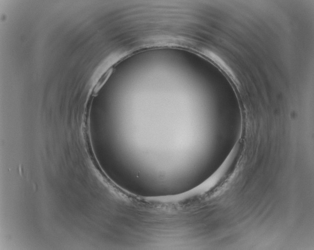 X0000069360901200605192055