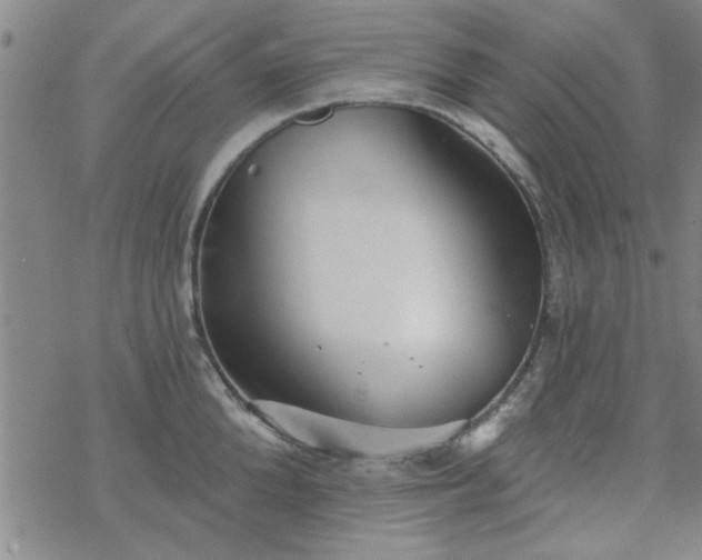 X0000069360904200605192055