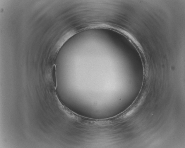 X0000069360905200605192055