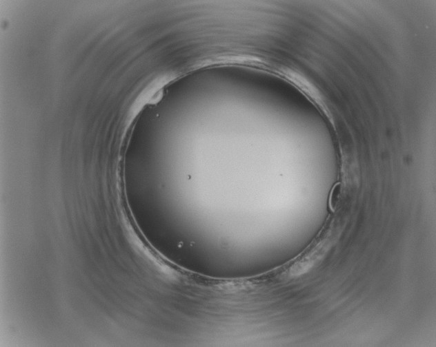 X0000069360906200605192055