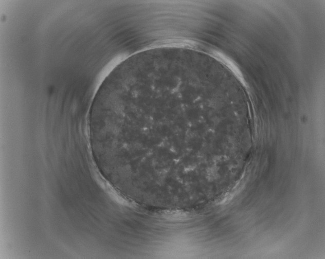 X0000069360907200605192055