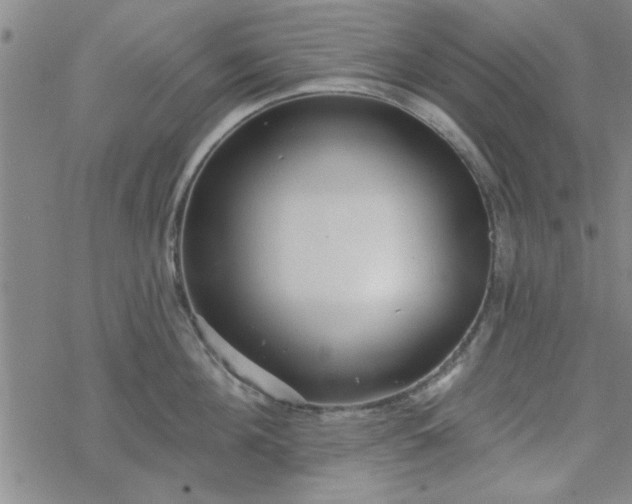 X0000069360908200605192055