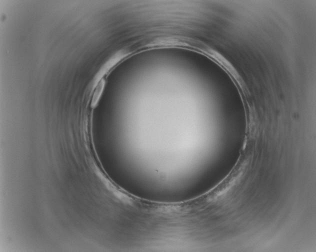 X0000069360909200605192055