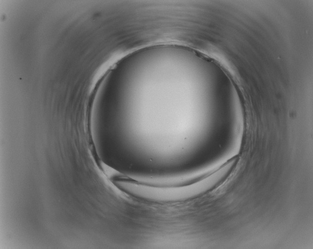 X0000069360910200605192055