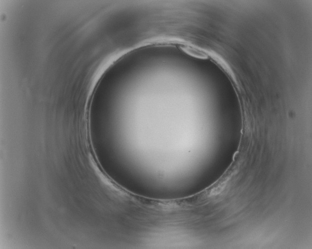 X0000069360911200605192055