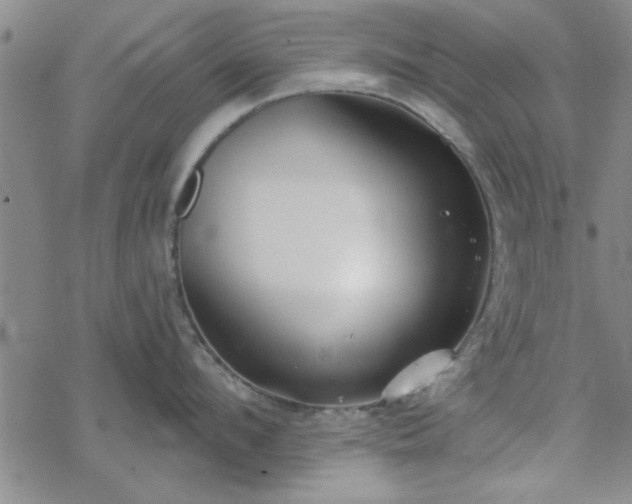 X0000069360912200605192055