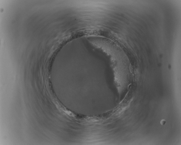 X0000069360913200605192054