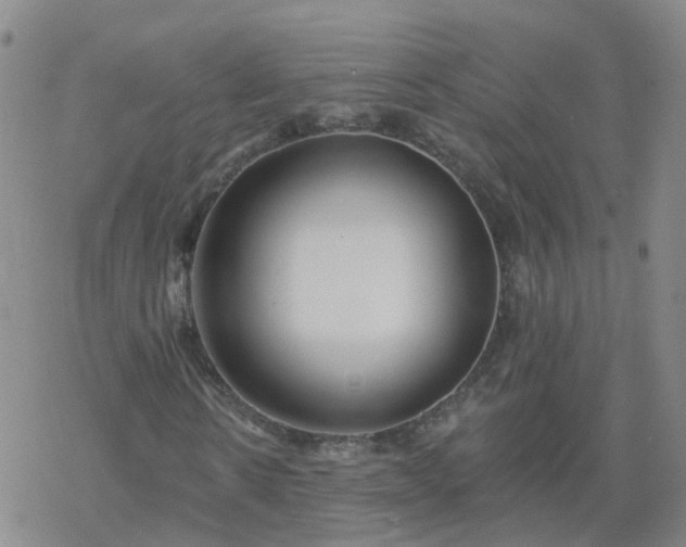 X0000069360914200605192054