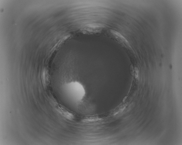 X0000069360915200605192054