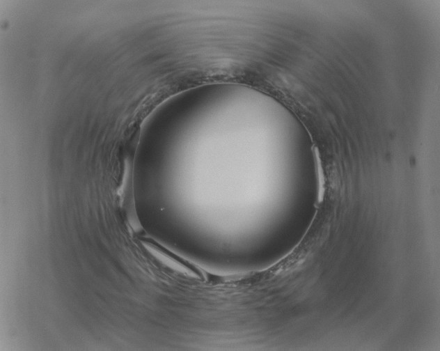 X0000069360916200605192054