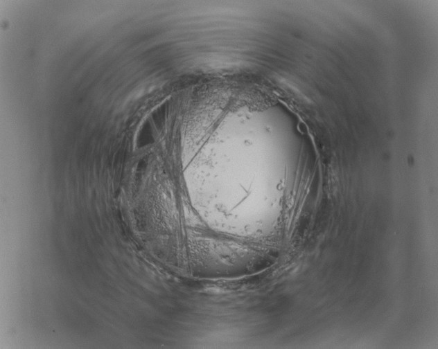 X0000069360917200605192054