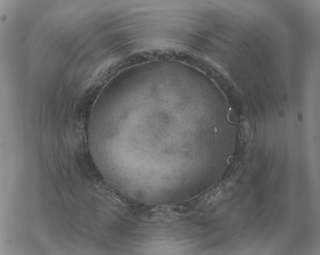 X0000069360918200605192054