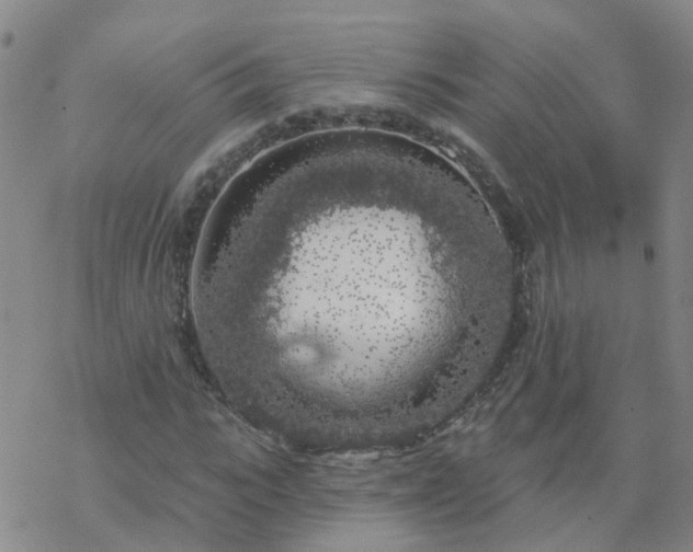 X0000069360919200605192054