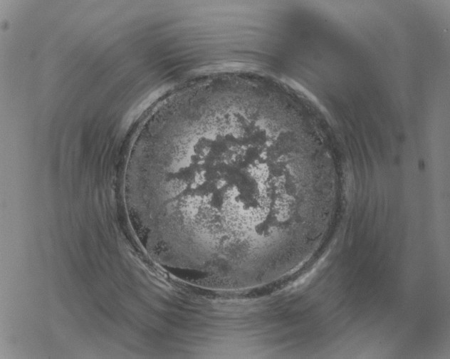 X0000069360921200605192054