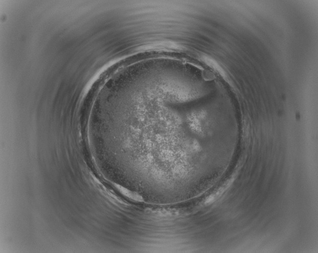 X0000069360923200605192054