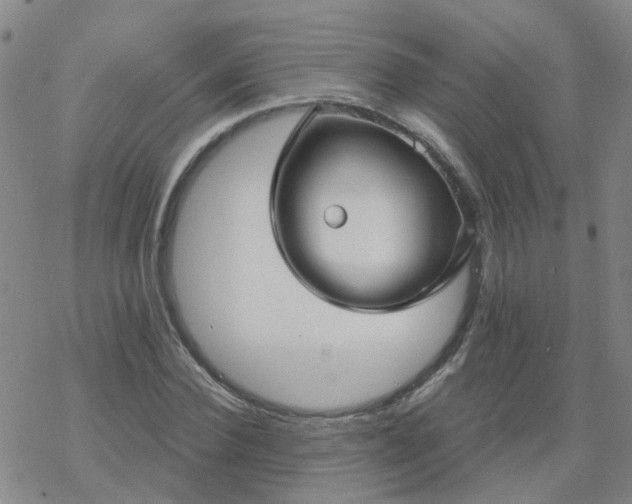 X0000069360924200605192054