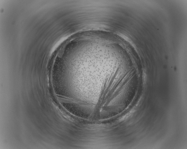 X0000069360925200605192054