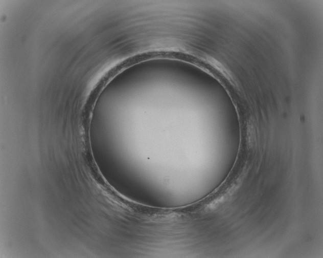 X0000069360926200605192054