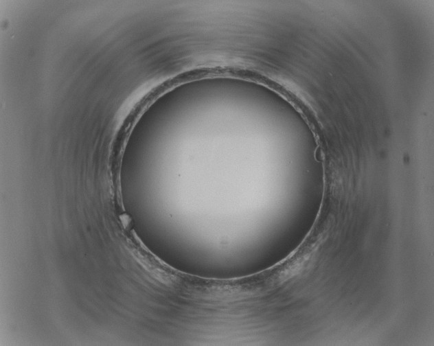 X0000069360927200605192054