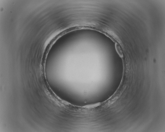 X0000069360928200605192054