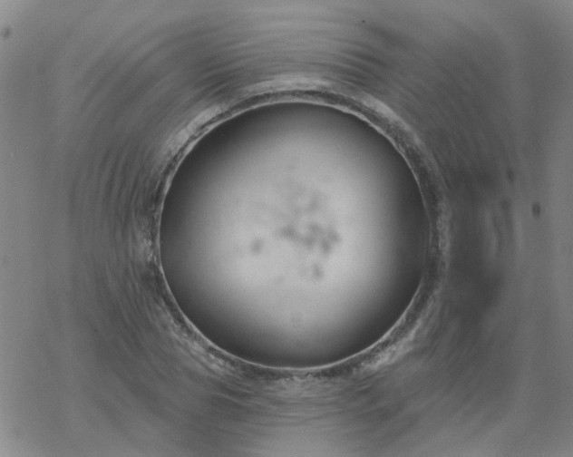 X0000069360929200605192054