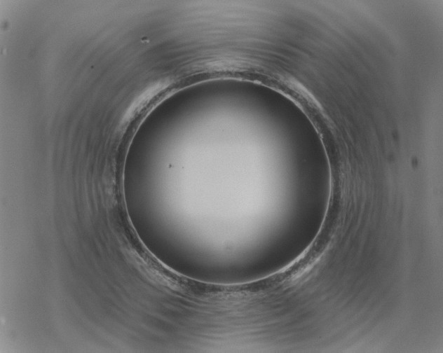 X0000069360930200605192054