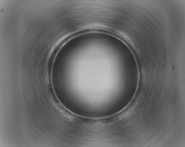 X0000069360931200605192054