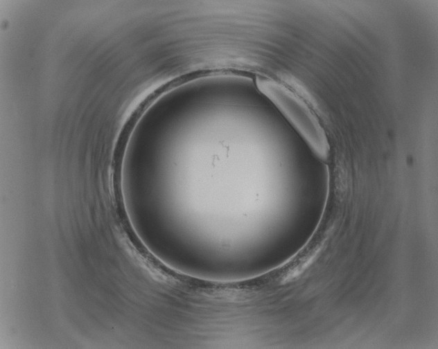 X0000069360932200605192054